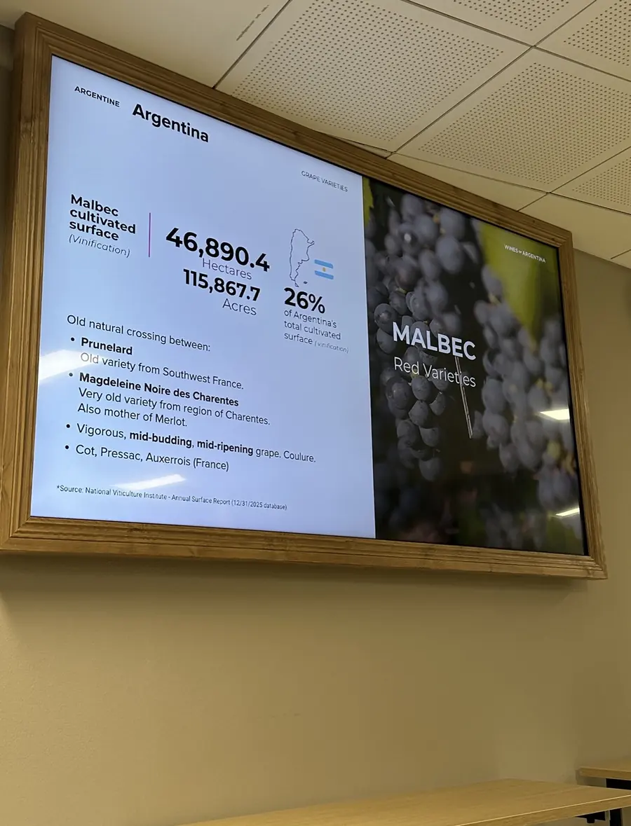 Presentation slide on Malbec in Argentina